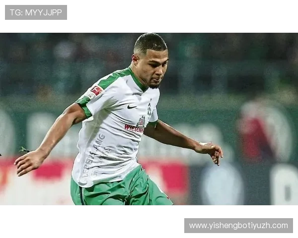 好博体育中国官网提供的丰富体育赛事直播和实时比分信息详尽介绍